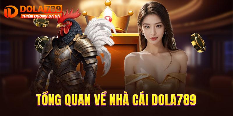 Tổng quan về nhà cái DOLA789