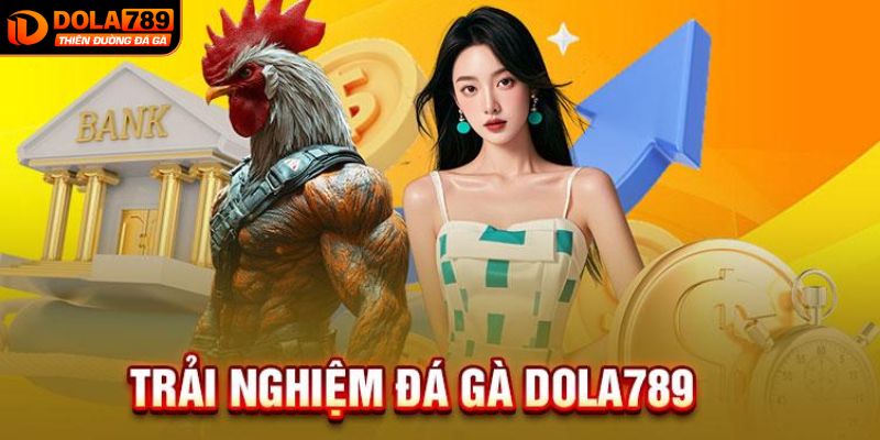 Khám phá đôi chút về đá gà DOLA789